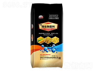 ����΢�������-ϣ�ǷʘI(y��)