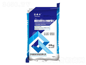 ��(f��)��΢�������-ɏ���S