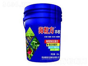 �����~�ĵ���-������-���º���