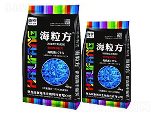 ����΢�������-������-���º���