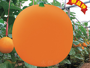 ���ۼt-��ϷN��-�Ƶ���