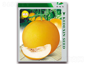 �Ƶ��S��һ̖-��ϷN��-�Ƶ���