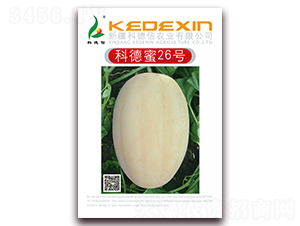 �Ƶ���26̖-��ϷN��-�Ƶ���