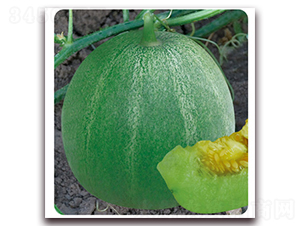 �G����-��ϷN��-�Ƶ���