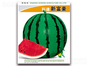 �Ƶ��¸���-���ϷN��-�Ƶ���