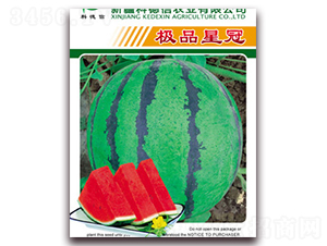 �OƷ�ǹ�-���ϷN��-�Ƶ���