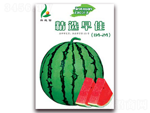 ���x���-���ϷN��-�Ƶ���