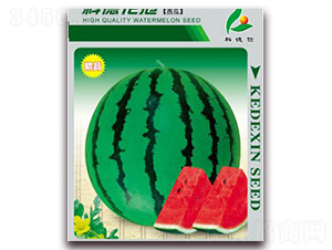 �Ƶ»���-���ϷN��-�Ƶ���