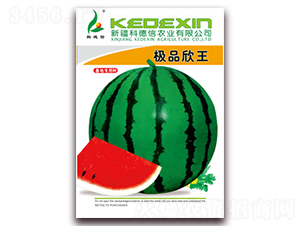 �OƷ����-���ϷN��-�Ƶ���