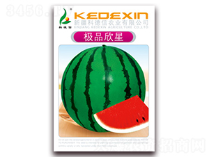 �OƷ����-���ϷN��-�Ƶ���