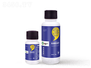 ����������-��СѾ-�_������