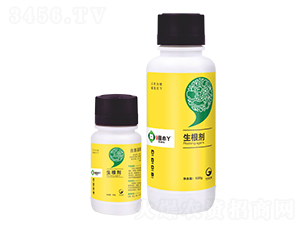 ������-��СѾ-�_������