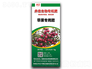 �O���ЙC��-��������