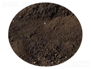 ���켃��S-�_(k��i)���r(n��ng)�I(y��)