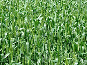 ����10̖(h��o)-ƽ���N�I(y��)