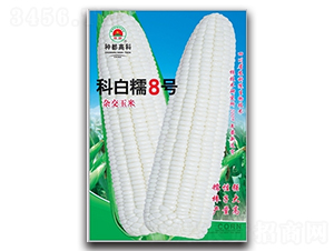 �ư�Ŵ8̖(h��o)-���׷N��-�߿ƷN�I(y��)