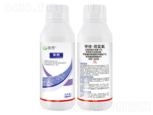 5%�׾S�����ȷ�ˮ�鄩-��Ȼ����