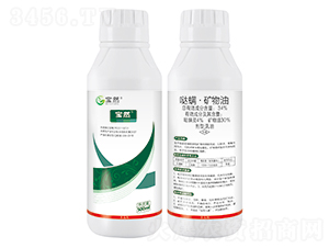 34%�}�����V��������-��Ȼ����