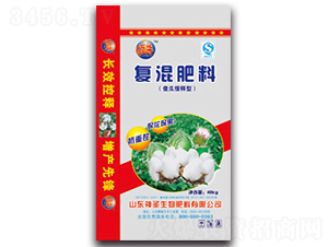 ɵ�Ͼ���͏�(f��)�����-��ʥ����