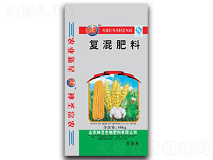 40kg��(f��)�����-��ʥ����