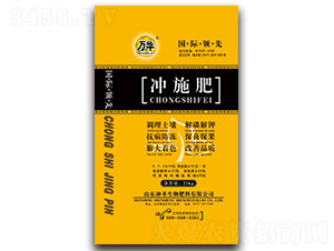 �_ʩ��-��ʥ����