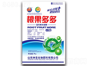 ������ࣨ�����棩-��ʥ����