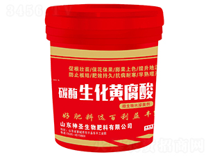 �f�A��̼ø�����S����-��ʥ����