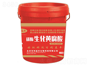 ̼ø�����S����-�������S-��ʥ����