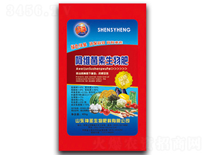 ���S���������-��ʥ����