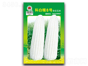 �ư�Ŵ8̖(h��o)��2��-���׷N��-�߿ƷN�I(y��)