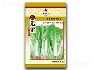 Ѹ��-С�ײ˷N��-�߿ƷN�I(y��)