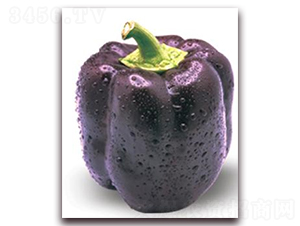 ����-�ʽ��N��-ɣ�r(n��ng)�N�I(y��)