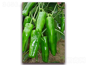 ����-�⽷�N��-ɣ�r(n��ng)�N�I(y��)