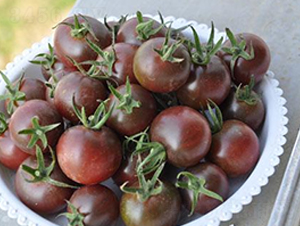 �ڙ�-���ѷN��-ɣ�r(n��ng)�N�I(y��)