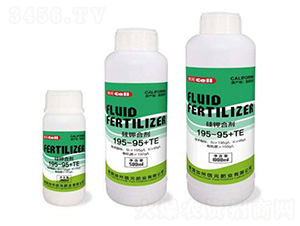 ��⛺τ�195-95+TE-̩��ʘI(y��)