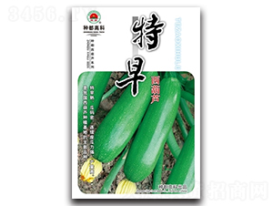 ���������J-�����J�N��-�߿ƷN�I(y��)