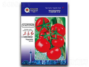 �|���t-���ѷN��-�߿ƷN�I(y��)