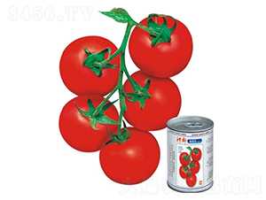 ˹�Z��-���ѷN��-�߿ƷN�I(y��)