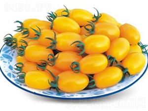 �W��-���ѷN��-�߿ƷN�I(y��)