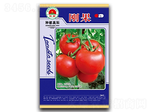 ����-���ѷN��-�߿ƷN�I(y��)