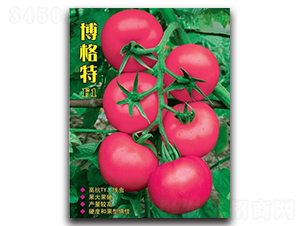 ������-���ѷN��-�߿ƷN�I(y��)