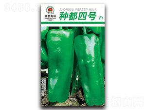 �N����̖-�����N��-�߿ƷN�I(y��)