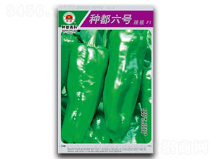 �N����̖-�����N��-�߿ƷN�I(y��)