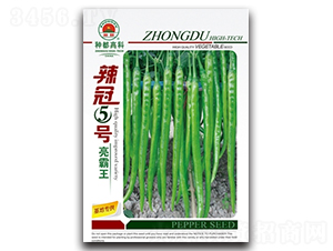 ����5̖-�����N��-�߿ƷN�I(y��)