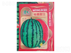 ��������-���r(n��ng)�N�I(y��)