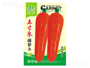 ��煢���}��-���r(n��ng)�N�I(y��)