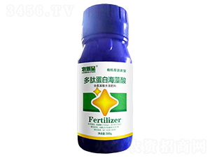 ���ĵ��׺�����-�r(n��ng)����