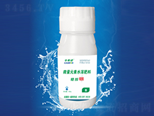 �Ǵ���-��ϣ�Z