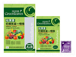 ���Sή��������һ���G-ʥ�ϝ�