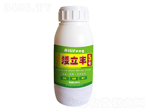 �����S5̖-��ֲ�S